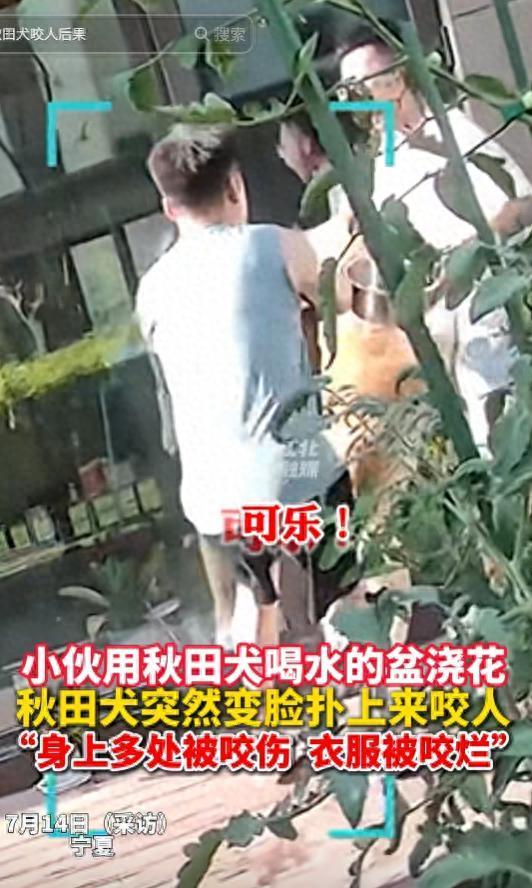 朋友用狗喝水的盆浇花被狗撕咬
