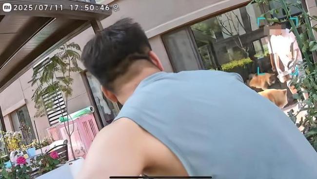 朋友用狗喝水的盆浇花被狗撕咬 主人透露更多